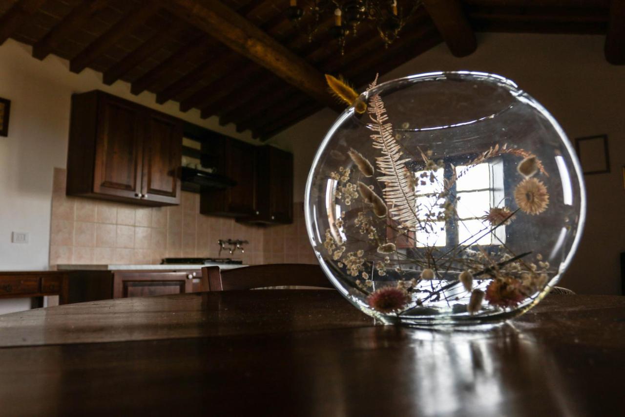 Agriturismo Bombina Montisi Kültér fotó