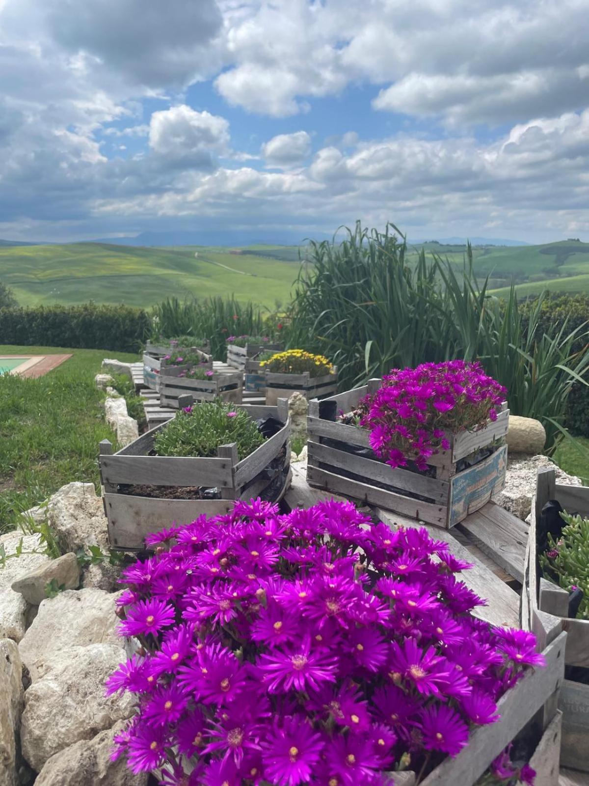 Agriturismo Bombina Montisi Kültér fotó